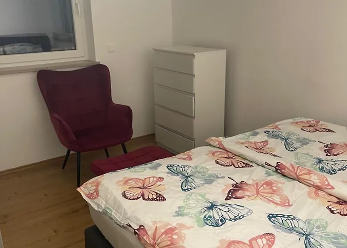 公寓 Helle Grosszuegige Ruhige Dreizimmerwohnung In Altstadtnaehe Mit Kostenlosem Tiefgaragenstellplatz 兰茨胡特